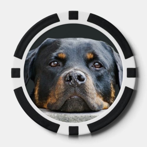 Cute Dog Photo  Poker Chips