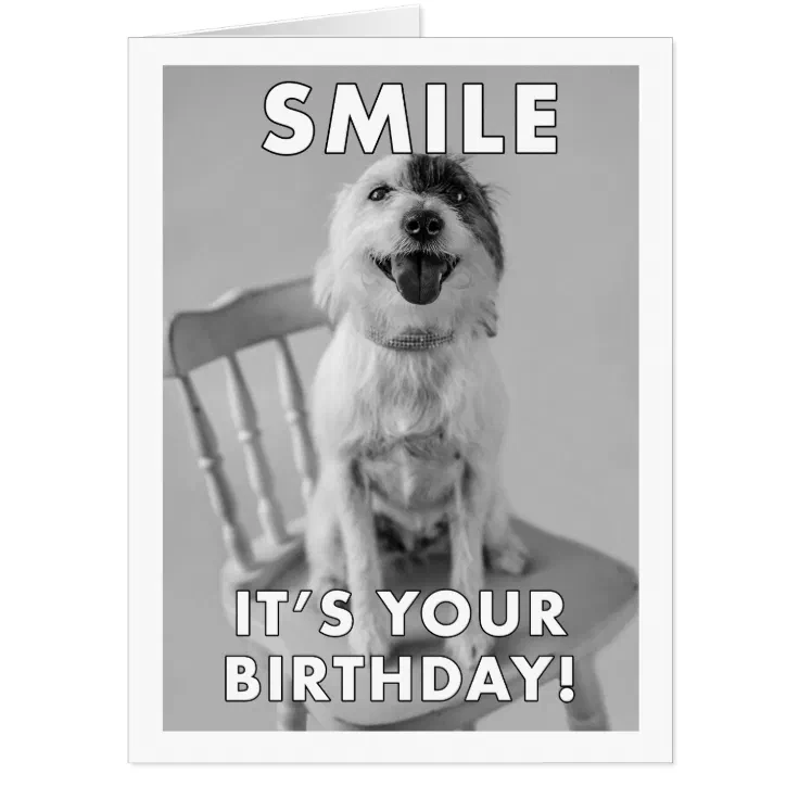 Cute Dog Photo Smile It's Your Birthday Meme Big Card | Zazzle
