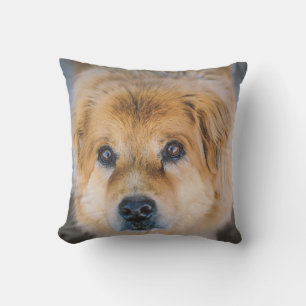 Cute Dog Photo Throw Pillow