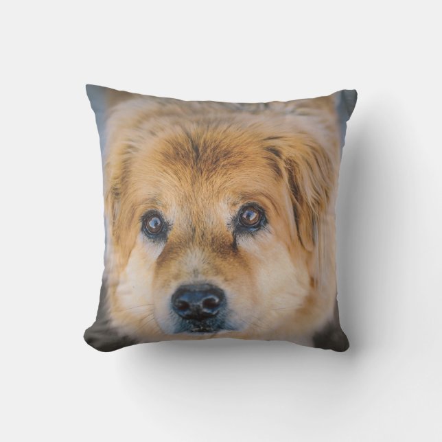 Cute Dog Photo Throw Pillow (Front)