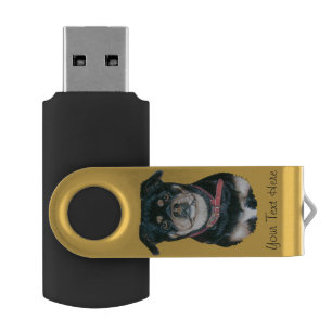 cute dog picture of black and tan pug USB flash drive