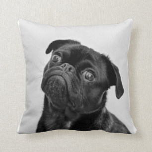 Cute dog pug pillow