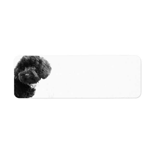 Cute Dog Puppy Black and White l Photography Label (Front)