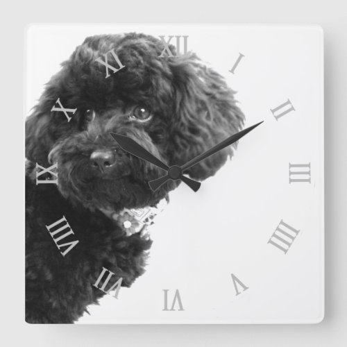  Cute Dog Puppy Black and WhitePhotography Square Wall Clock