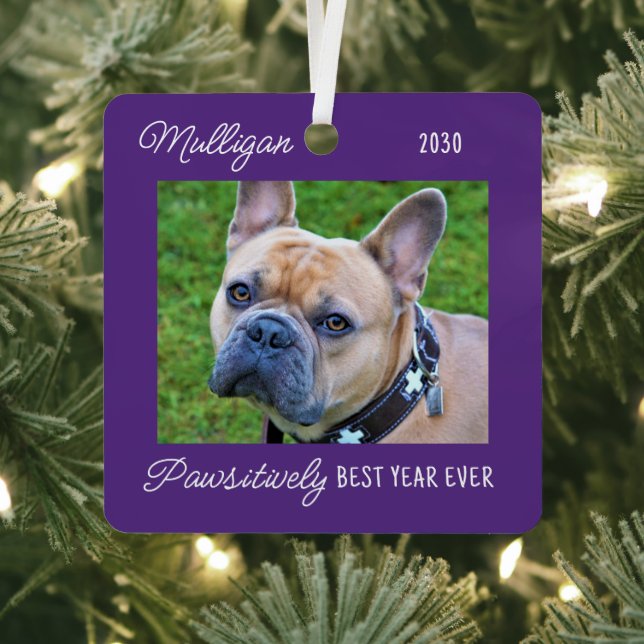 Cute Dog Quarantine Christmas Purple Pet Photo Metal Ornament (Insitu)