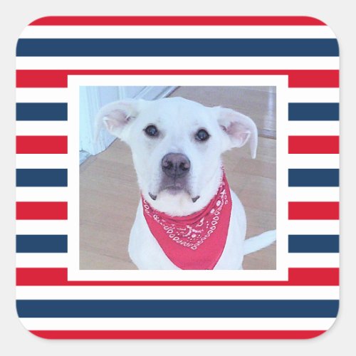 Cute Dog Red White Blue Stripes Patriotic Photo Square Sticker