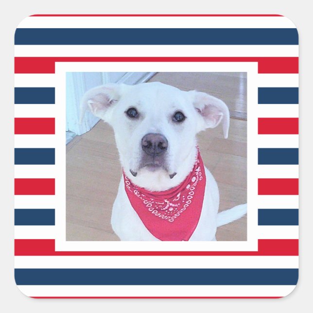 Cute Dog Red White Blue Stripes Patriotic Photo Square Sticker (Front)