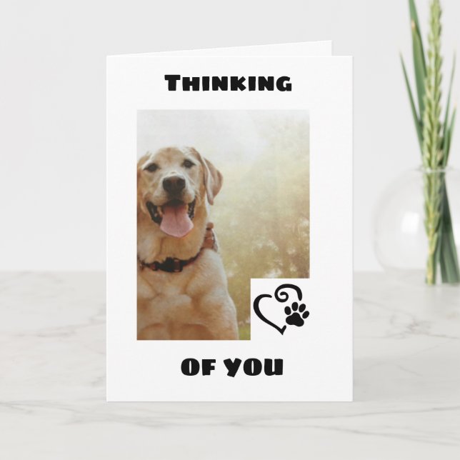 *CUTE DOG SAYS TO HAVE A HAPPY* BIRTHDAY CARD (Front)