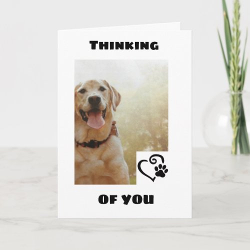 CUTE DOG SAYS TO HAVE A HAPPY BIRTHDAY CARD