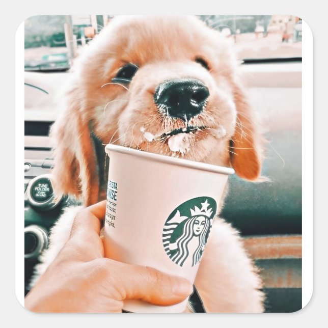 Cute dog stickers (Front)