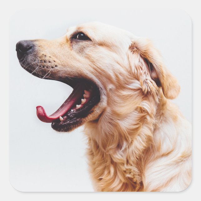 Cute Dog stickers 6 (Front)