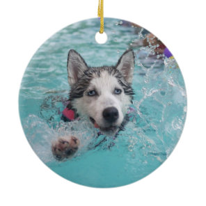Cute dog swimming in pool ceramic ornament