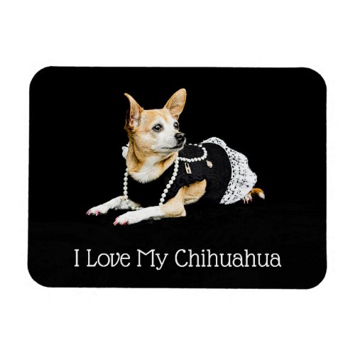 Cute Dog Tan Black White I Love My Chihuahua Magnet