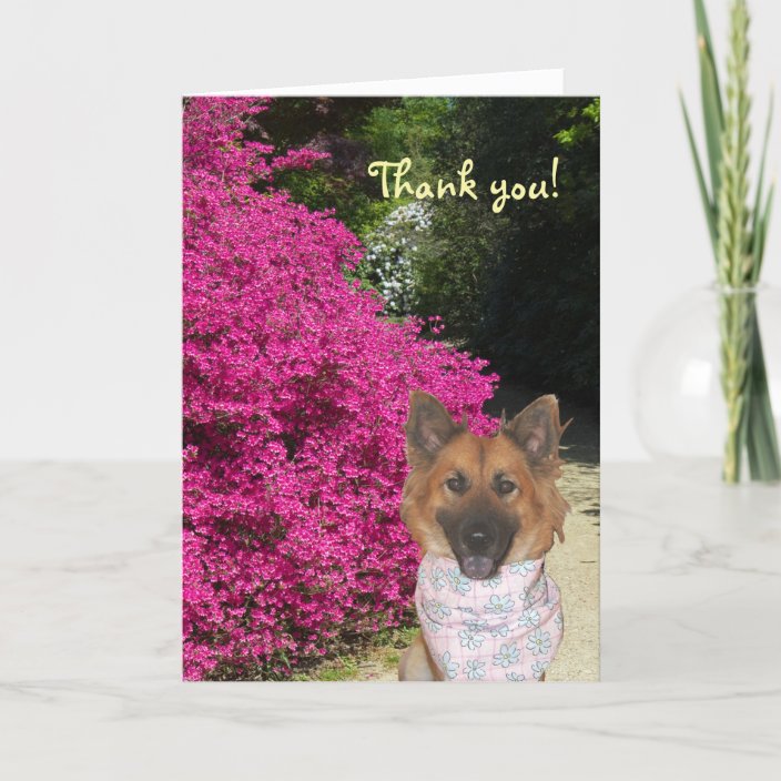 Cute Dog Thank You Card