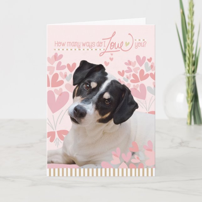 Cute Dog Valentines Card - How Many Ways Do I Love (Front)