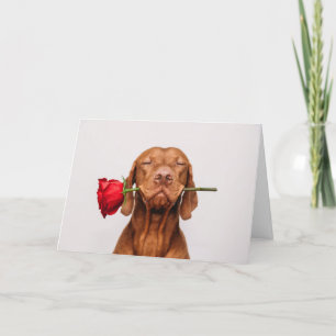 Cute Dog Valentine's Day Card