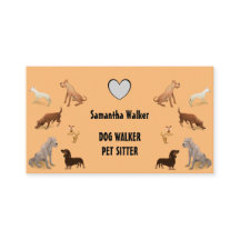 Cute DOG WALKER PET SITTER