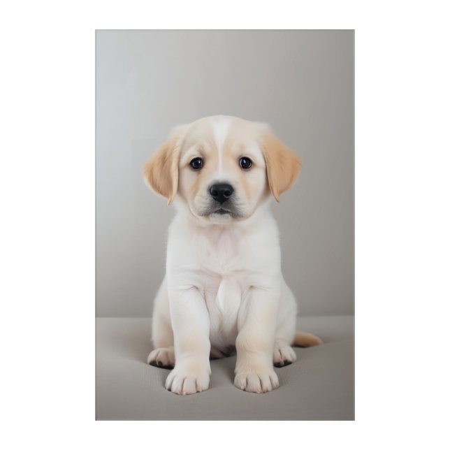 Cute Dog Wall Art for Pet Lovers (Front)