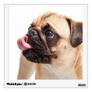 Cute Dog wall decal 1