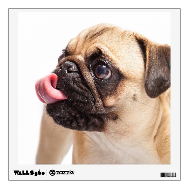 Cute Dog wall decal 1 (Front)