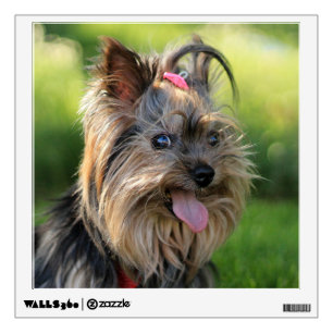 Cute Dog wall decal 7