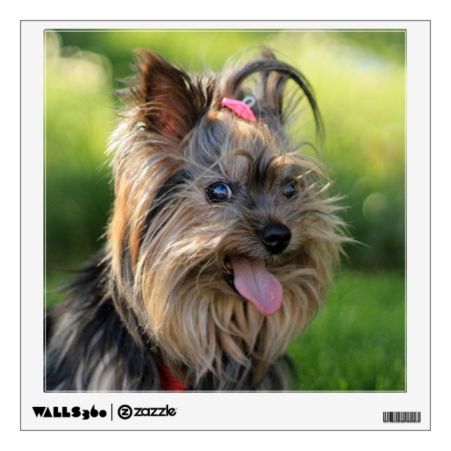 Cute Dog wall decal 7 (Front)