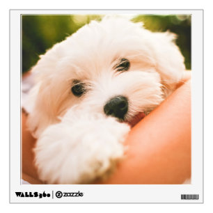 Cute Dog wall decal 8