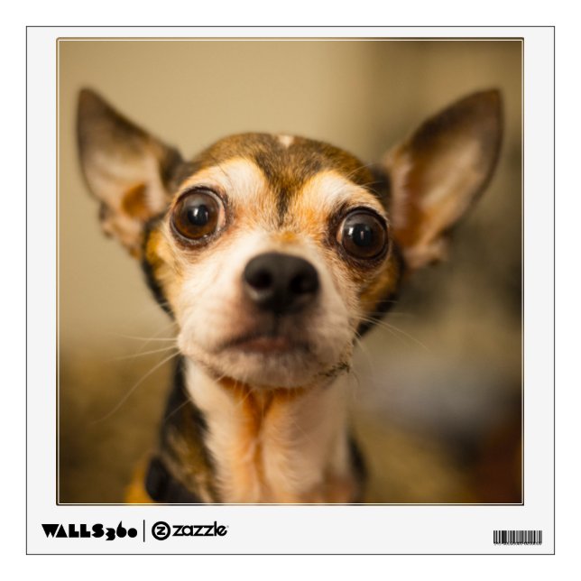 Cute Dog wall decal 9 (Front)