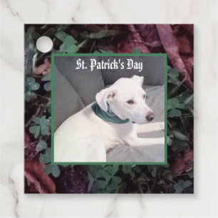Cute Dog Wearing Green Scarf Shamrocks Clovers Favor Tags