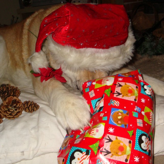 Cute dog wearing red hat for christmas jigsaw puzzle (Creator Uploaded)