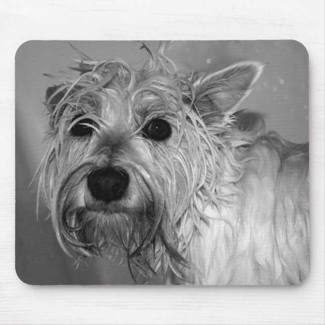 Cute Dog - Westie (West Highland Terrier) Mouse Pad (Front)