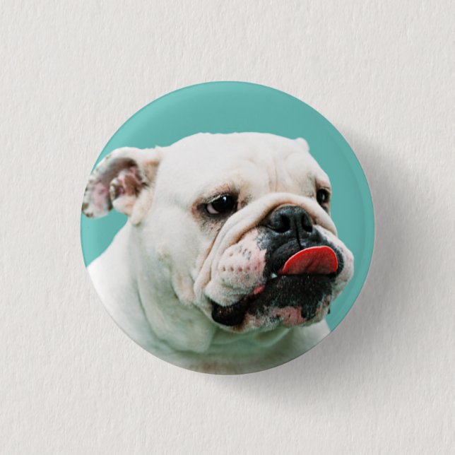 Cute dog white Bulldog Button (Front)