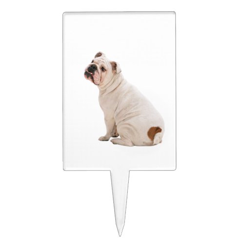 Cute dog white bulldog cake topper