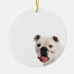 Cute dog white Bulldog Ceramic Ornament