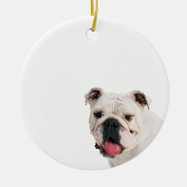 Cute dog white Bulldog Ceramic Ornament (Front)