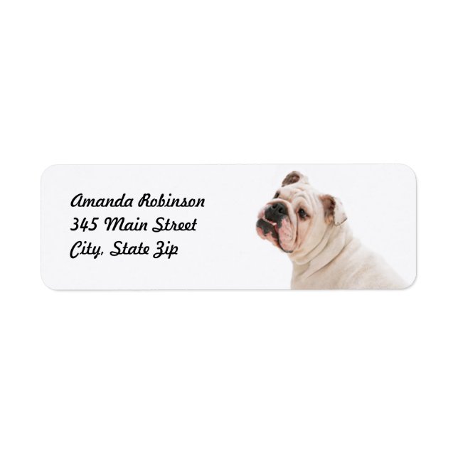 Cute dog white bulldog label (Front)