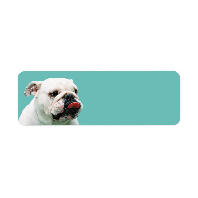 Cute dog white Bulldog Label (Front)
