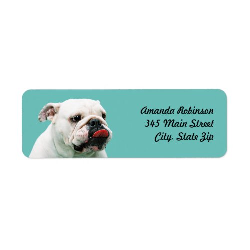 Cute dog white Bulldog Label