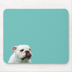 Cute dog white Bulldog Mouse Pad
