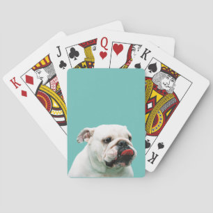 Cute dog white Bulldog Poker Cards