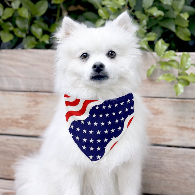 Cute dog with American Flag Pet Bandana Collar (Dog)