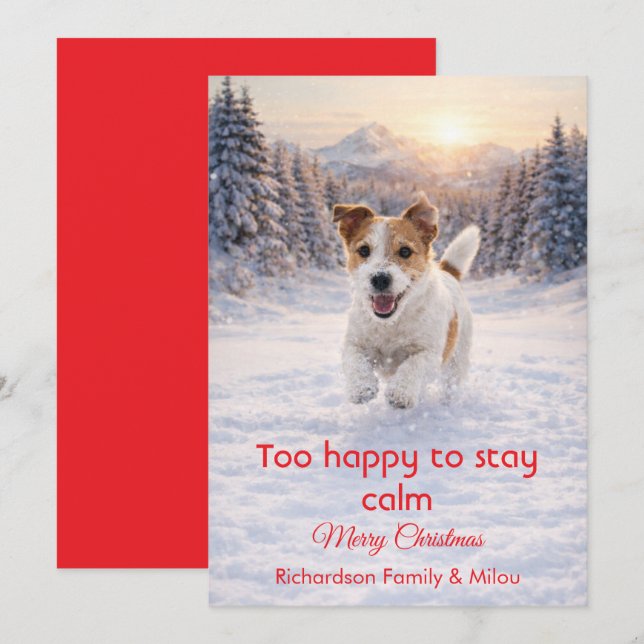 Cute Dog with Christmas Funny Quote | Holiday Card (Front/Back)