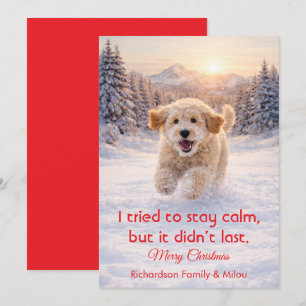 Cute Dog with Christmas Funny Quote   Holiday Card