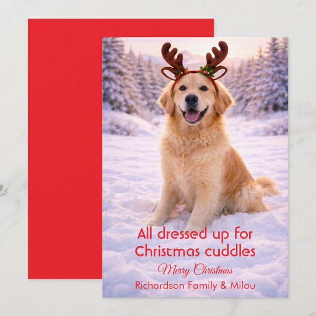 Cute Dog with Christmas Funny Quote | Holiday Card (Front/Back)