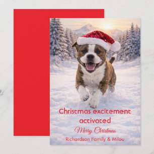 Cute Dog with Christmas Funny Quote Holiday Card