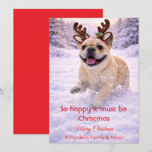 Cute Dog with Christmas Tender Quote Holiday Card