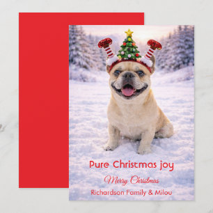 Cute Dog with Christmas Tender Quote Holiday Card