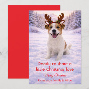 Cute Dog with Christmas Tender Quote Holiday Card