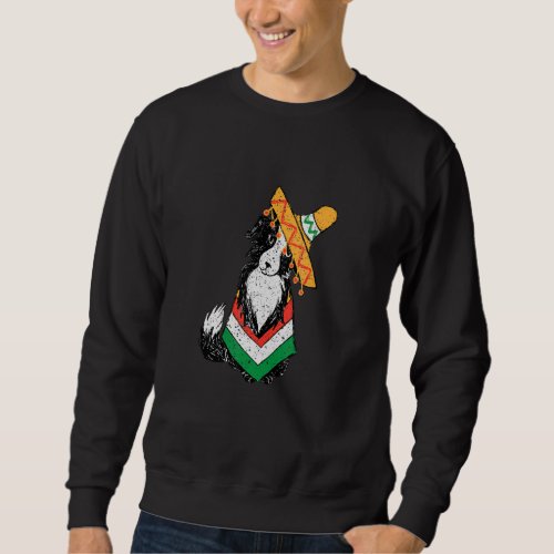 Cute Dog With Mexican Poncho  Cinco De Mayo Party Sweatshirt