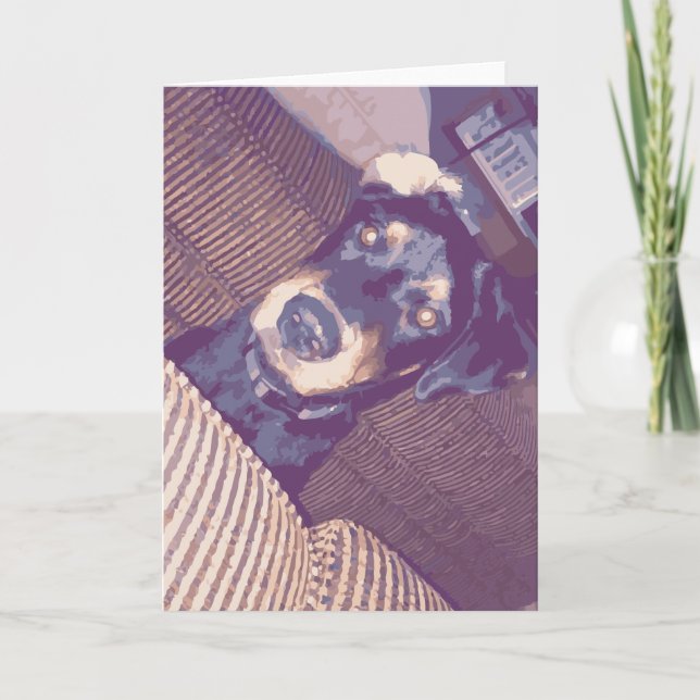 Cute Dog With One Ear Flipped Back Rottweiler Card (Front)